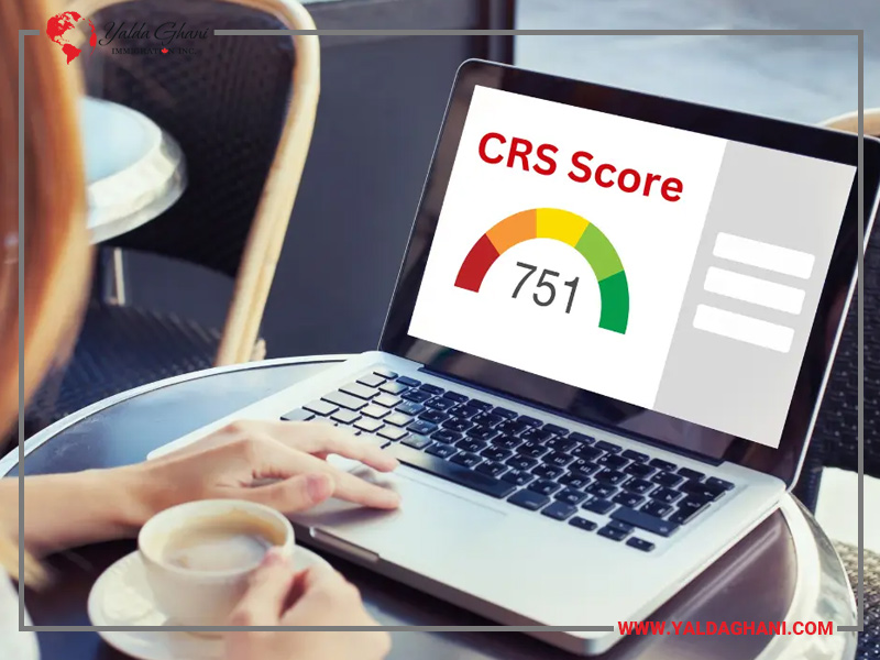 مهم‌ترین روش‌های افزایش امتیاز CRS