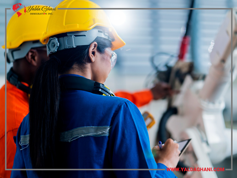 شغل‌های کارآموزی با امکان درآمد همزمان با آموزش