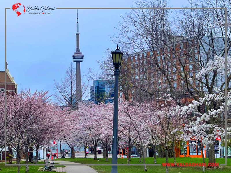 بهار با شکوفه‌های پارک‌ها