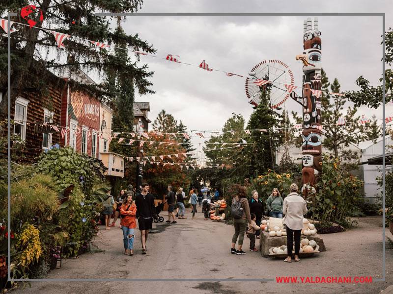 معایب زندگی در ساسکاتون